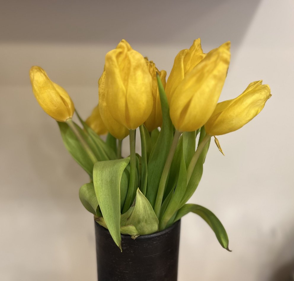 Páskafrí og fræðsluferð kennara