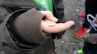 Texti með fréttamynd