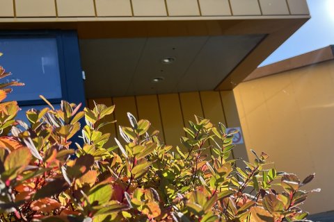 Engin kennsla 8. og 10. október