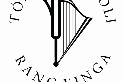 Óskum eftir gítarkennara í 30% starfshlutfall