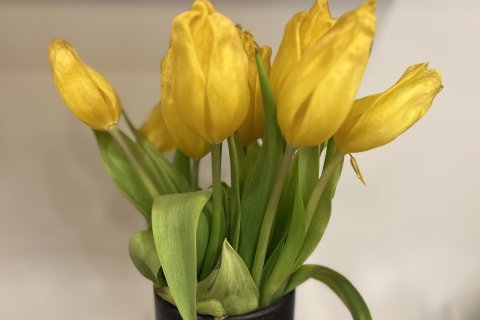 Páskafrí og fræðsluferð kennara